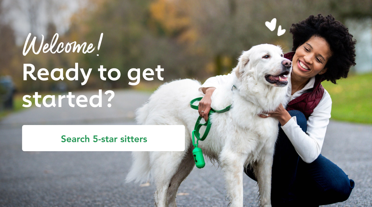 Dog walker for rover online